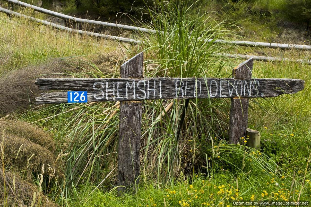 Villa Shemshi Gisborne Exteriér fotografie